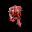Pinky