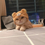 我恐男别跟我说话