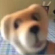 你厉害吗“就骂我