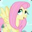 Fluttershy Kapa