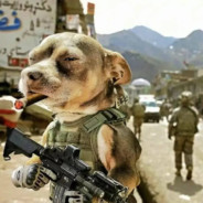 她说我没保时捷