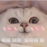 我想打爆你的头