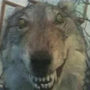 sweet little bumblebee *******