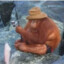 Orangutan Fisherman