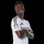 Vinicius Jr