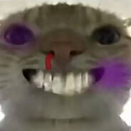 青青草原小灰灰