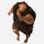 Grug