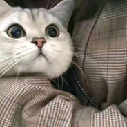 我真的很想进步啊