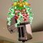 MistleToaster