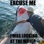 Get Slammed BOI!!!!