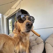 damianekk_skins.army