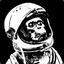 Astronauta Italiano