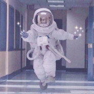 可是我家猫真会后空翻