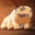 monereeka