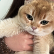 宝宝肚肚打雷了