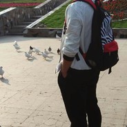 爱吃蜂蜜的熊大