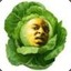 21 cabbage