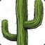 Cactus_Slapper