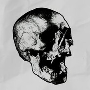 なぜ翻訳したの