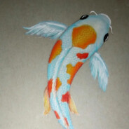 KOI 恋