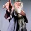 Dumbledore