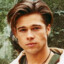 brad pitt