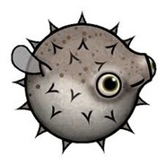 Sir.Pufferfish