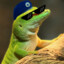Tactical Gecko