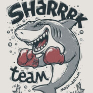 SHARK TEAM