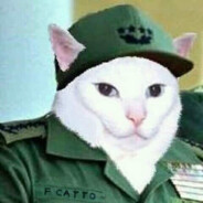 Fidel Catto avatar