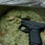 Guac
