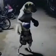 werzstxdgrfchtgjvhkbj