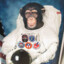 Chimp in Space