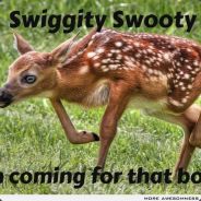 SWIGGITY SWOOTY