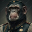 COMMANDER MONKE
