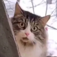 ukwfp8x4不是骗子