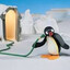 Pinguu