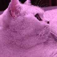 云吞吃云吞不吃云吞皮