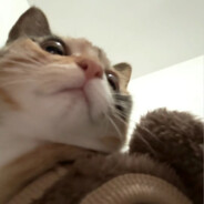 蒜香法棍爱小鱼干