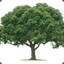 MLGTree