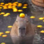 This is only Capybara&lt;3