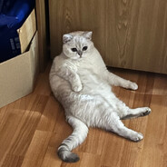 †LECHI† - steam id 76561198177463681