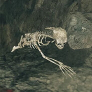 Don't give up, skeleton!