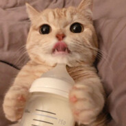 김고르등댕댕씨