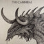 The CANNIBALL