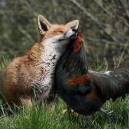Наконец-то он