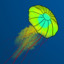 PlasmaKing323