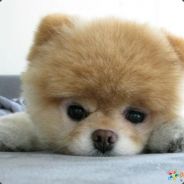 <font face="Segoe Script">Jun