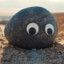 A Rock With Eyes