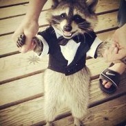 Енотик полоскун